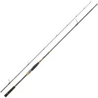 Daiwa Morethan Branzino Expert Distance Spinning Rod Zilver 3.05 m / 14-56 g
