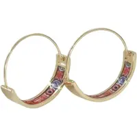 Charme Bijoux Oorbellen -colorfull inside -goudkleur- oorringen-