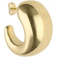BRAELYN Oorbellen goud