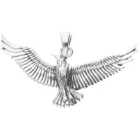 MOOYE ® - Collectie Zilveren Roofvogel in vlucht kettinghanger