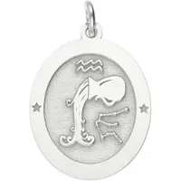 MOOYE ® - Collectie Zilveren Sterrenbeeld waterman ovaal kettinghanger