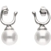 Gaya Oorbellen zilver