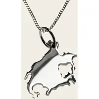 MOOYE ® - Collectie Zilveren Landkaart Noord Amerika ketting hanger
