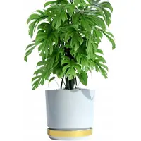 Duo bloempot 26cm Wit-Golden Glamour Hoogglans met standaard