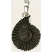 MOOYE ® - Collectie Zilveren Ammoniet versteende schelp negatief kettinghanger