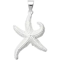 MOOYE ® - Collectie Zilveren Zeester groot kettinghanger