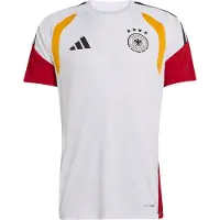 Adidas Tricot 'DFB TR JSY' wit