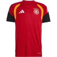 Adidas Tricot 'DFB TR JSY' rood