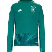 Adidas Functioneel shirt 'DFB Home' groen / petrol / wit