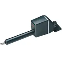 Raymarine Lineal Drive Large Zwart 24V