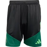 Adidas Sportbroek groen / spar / zwart
