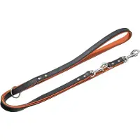 Karlie Rodeo Riveted Hondenriem
