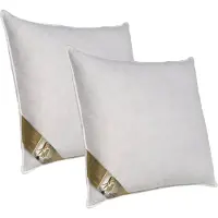 Ten Cate Hoofdkussen - Nekklachten - Ganzendons & Ganzenveren - Driekamer - Geschikt voor rug-, zij- en buikslapers - Ergonomisch Kussen - 60x70 cm - 2 stuks