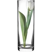Edwanex Glazen Vaas Cilinder 40 cm - Decoratieve Vaas voor Bloemen