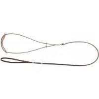 Dingo Ring Leren Hondenhalsband 0,6x150cm Bruin