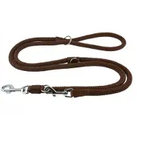 Champion Verstelbare Hondenlijn 5m x 1.4cm - Bruin, Robuust