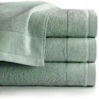 Detexpol Vito Handdoek Lichtgroen Katoen 30x50 cm 550 g/m²