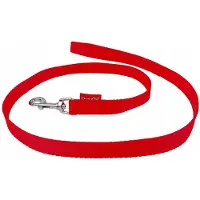 Champion Hondenlijn Rood 120cm - Duurzame PP-band, 2cm breed
