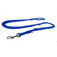 Champion Verstelbare Hondenlijn 2.5m/0.6cm Blauw - Duurzaam en Handgemaakt