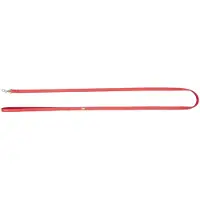 Dingo Basic Honden- en Kattenlijn, 1.0x130 cm, Rood