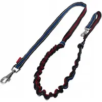 Champion Hondensnoer met Schokdemper - 250cm, 2.5cm Breed