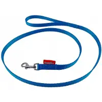 Champion Hondenlijn Blauw 120cm - Duurzame PP Tape, 1.3cm Breed