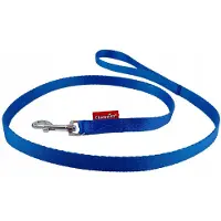 Champion Hondenlijn 120cm Blauw - Stevige PP Band, 1.6cm Breed