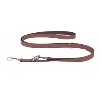 Amiplay Verstelbare Cambridge XL Hondenhalsband - Bruin