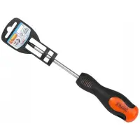 Richmann Torx Schroevendraaier met Magneet T25 x 100mm CR-MO