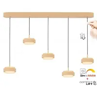 Freelight Hanglamp Puleggia 5 lichts L 120 cm comfortlift beige