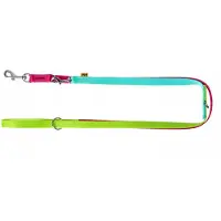 Dingo Active Verstelbare Hondenlijn Brasil 1cm x 220cm Roze/Mint/Groen