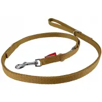 Champion Hondenlijn Verstelbaar 225cm Breedte 1.6cm PP Band Goud