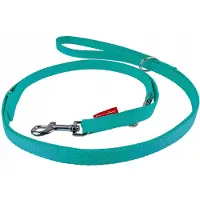 Champion Hondenlijn Verstelbaar 225cm Mint Groen - Sterk & Duurzaam