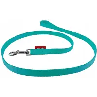Champion Hondenlijn Klassiek Mint Groen 120cm Breedte 1.6cm