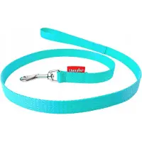 Champion Hondenlijn Klassiek 120cm Ras 2cm Mintgroen