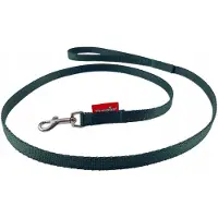 Champion Hondenlijn Groen 120cm - Duurzaam & Stijlvol