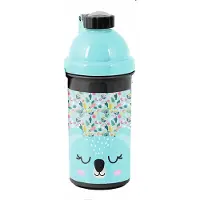 Paso Bodda Bodon 500 ml - Leuke Drinkfles Vool Messels Op School
