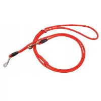 Dino Hondenlijn Koord Rood 12mm/200cm - Duurzaam en Veilig