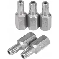 Richmann Torx Bit met Gat 10mm S2 Staal 30mm