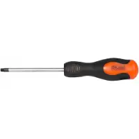 Richmann Torx Schroevendraaier T10 x 100mm Cr-Mo Magnetisch