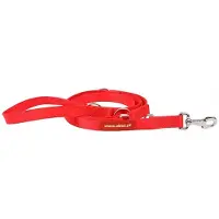 Dino Hondenlijn Verstelbaar 30mm/200cm Rood - Sterk en Duurzaam
