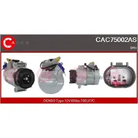 Casco CAC75002AS Aircopomp