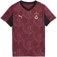 Puma Functioneel shirt 'Galatasaray SK 25/26' citroen / wijnrood / zwart