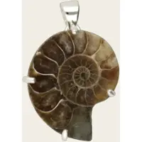 MOOYE ® - Collectie Zilveren Ammoniet versteende schelp negatief kettinghanger