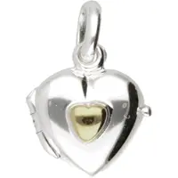 MOOYE ® - Collectie Zilveren Foto medaillon hart met gouden hart hanger - klein