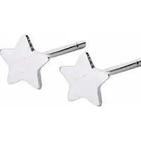 Charme Bijoux Oorbellen Ster Zilverkleur 7 mm geborsteld
