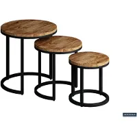 Molecule Plano bijzettafel set 3-delig mangohout met zwart metaal industrieel design