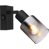 Globo Zwarte wandlamp Hubertus met schakelaar
