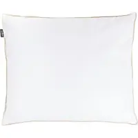Beliani ETNA - Hoofdkussen 3 vakken - Wit - 50 x 60 cm - Laag - Eendenveren