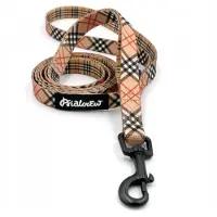 Psiakrew Dogberry Stedelijke Hondenlijn 160 cm voor Kleine Hond